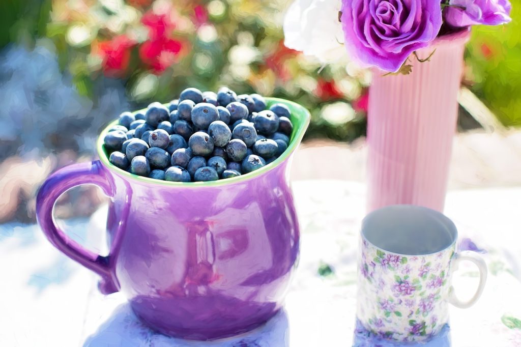 blueberries, fruits, pitcher-864628.jpg