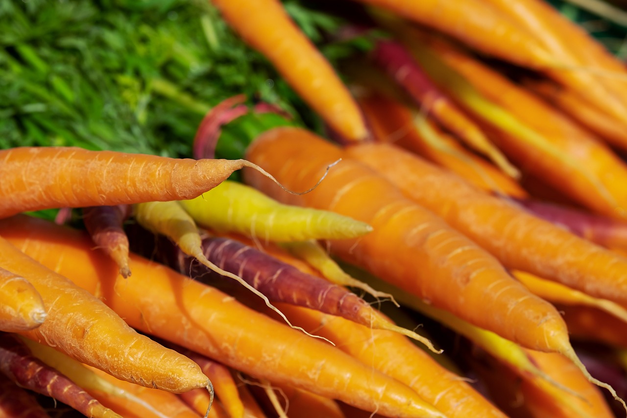 carrots, vegetables, produce-3440368.jpg